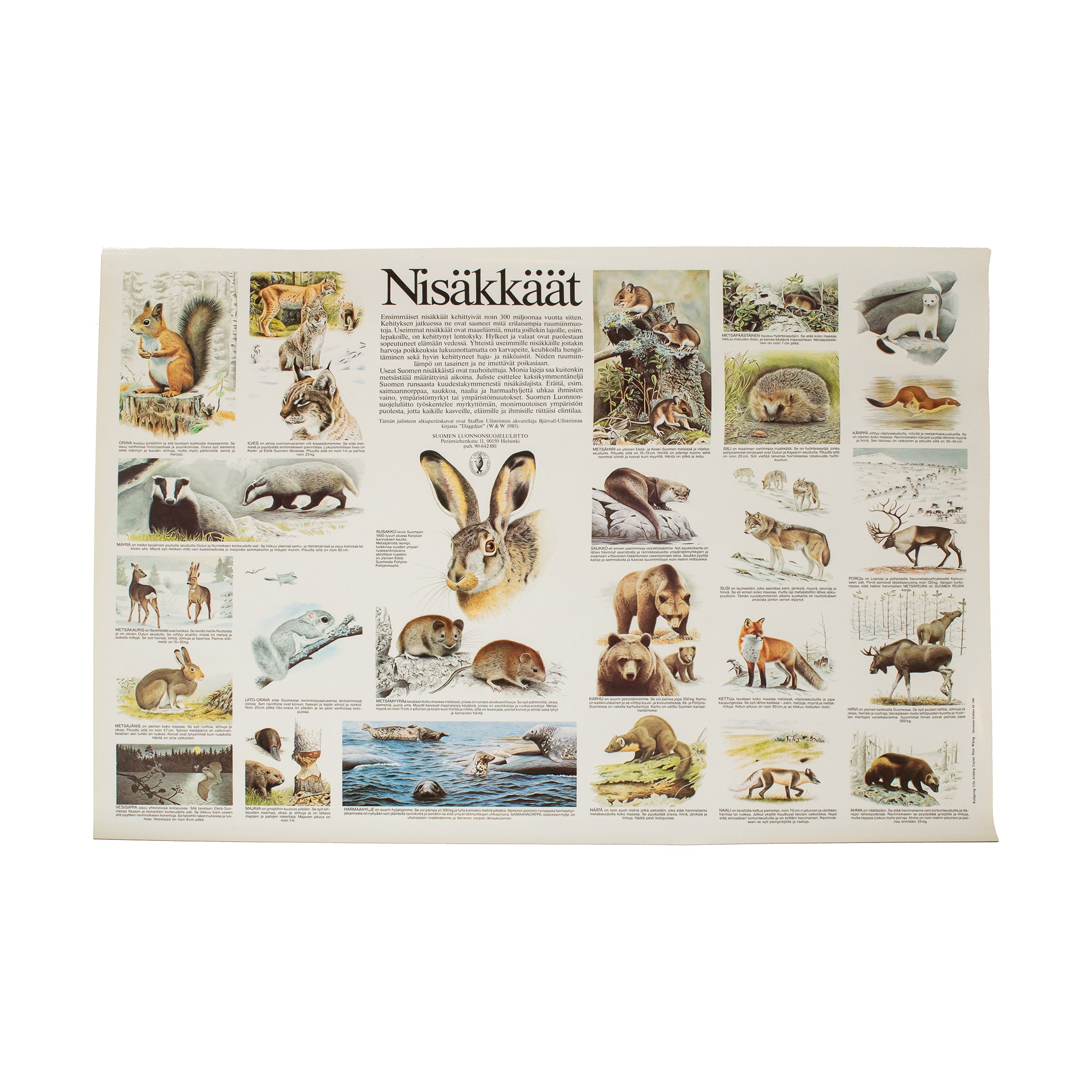 Nisäkkäät -juliste