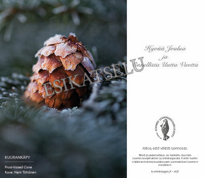 Kuurankäpy -sähköinen joulukortti