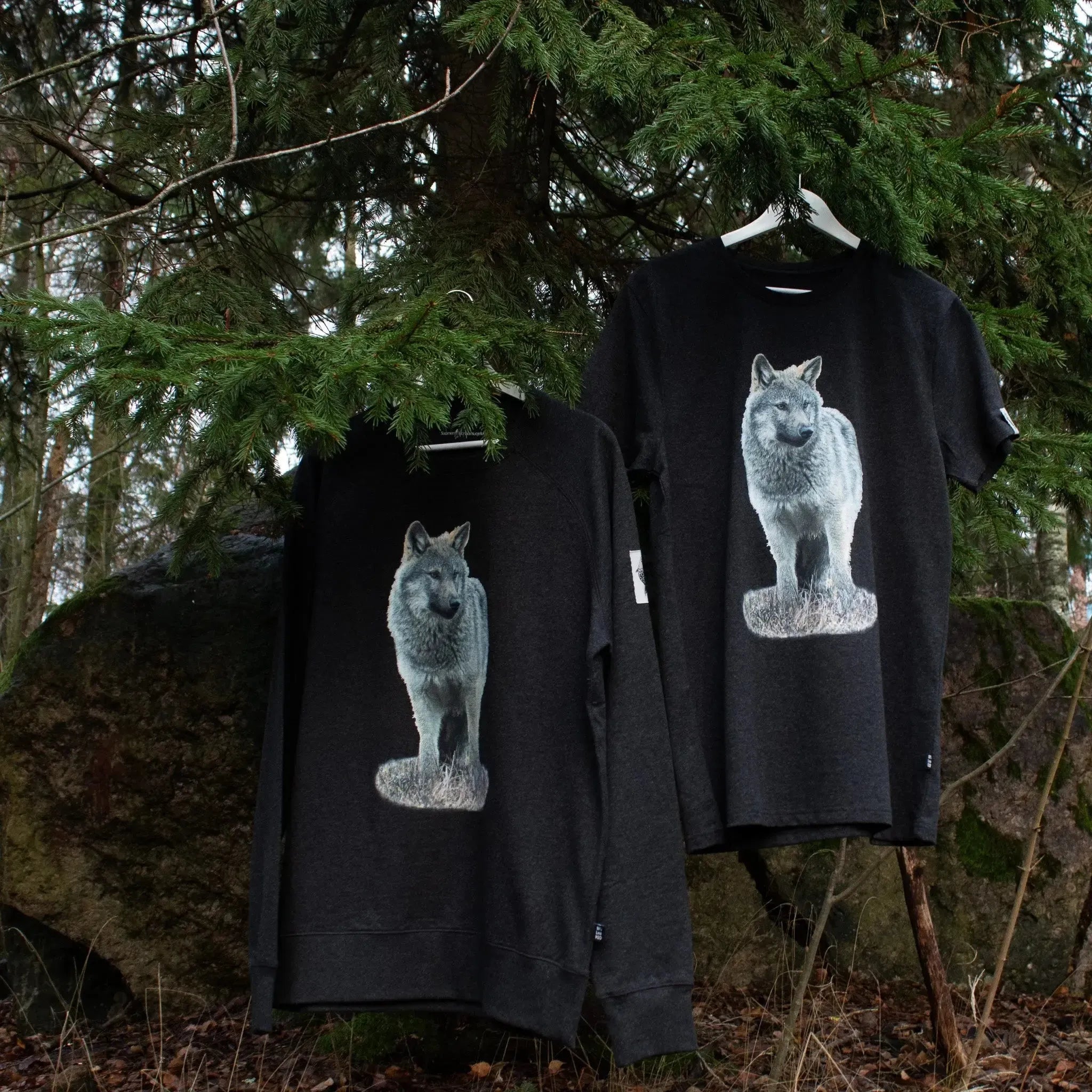 HIILI -college: Susi-Colleget-Suomen luonnonsuojeluliiton Luontokauppa