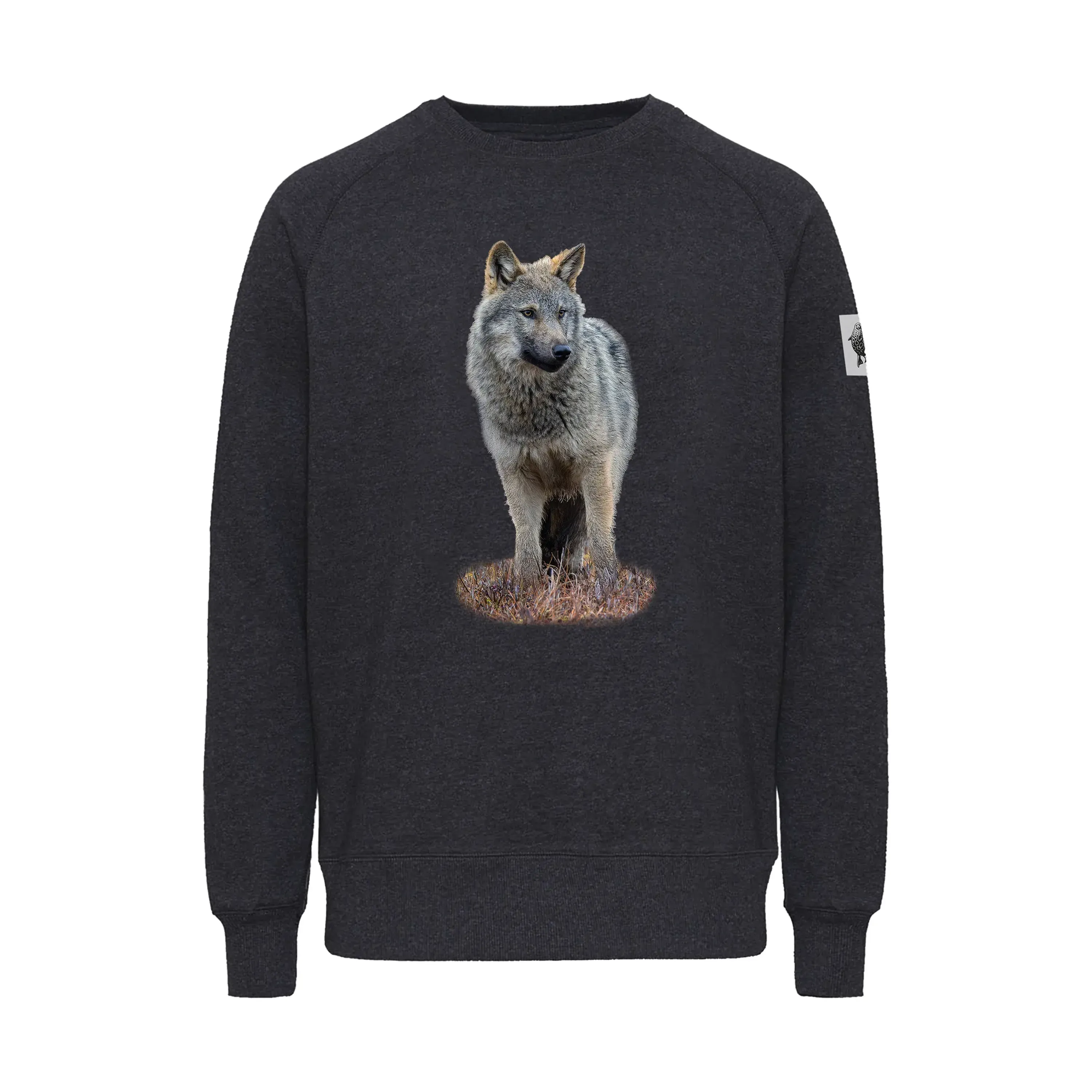 HIILI -college: Susi-Colleget-Suomen luonnonsuojeluliiton Luontokauppa