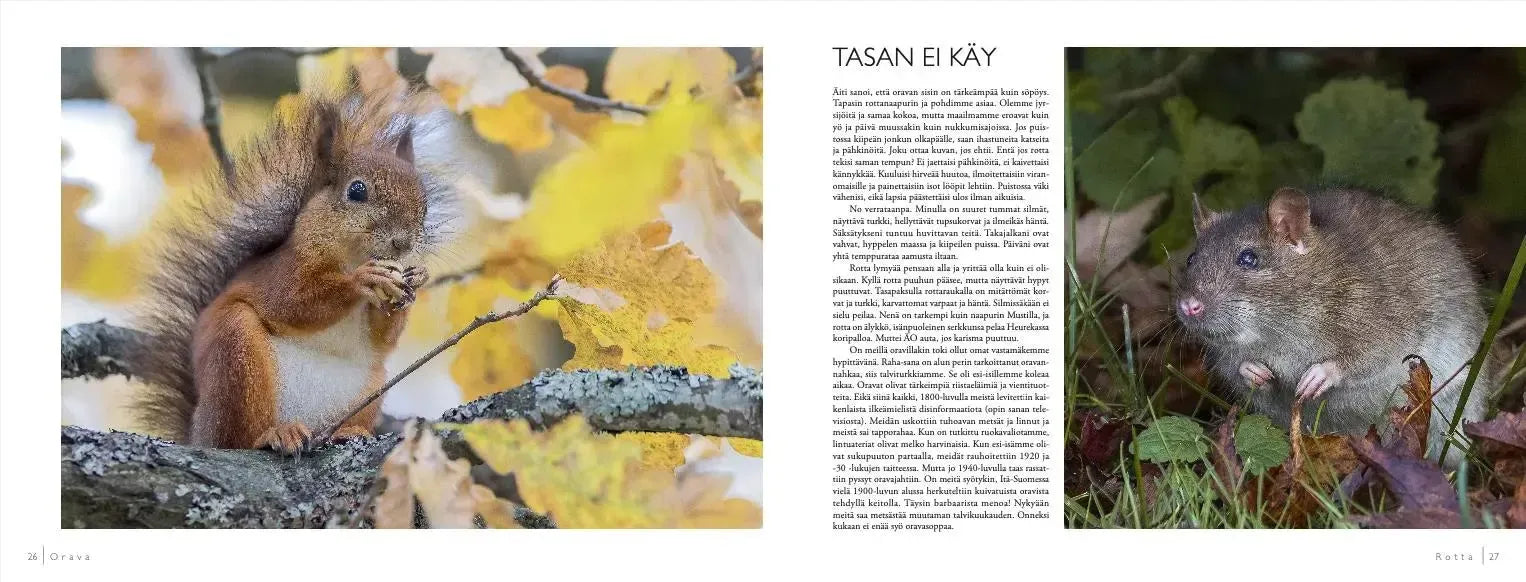 Hirven oppivelvollisuus ja muita tarinoita-Eläinaiheiset kirjat-Suomen luonnonsuojeluliiton Luontokauppa