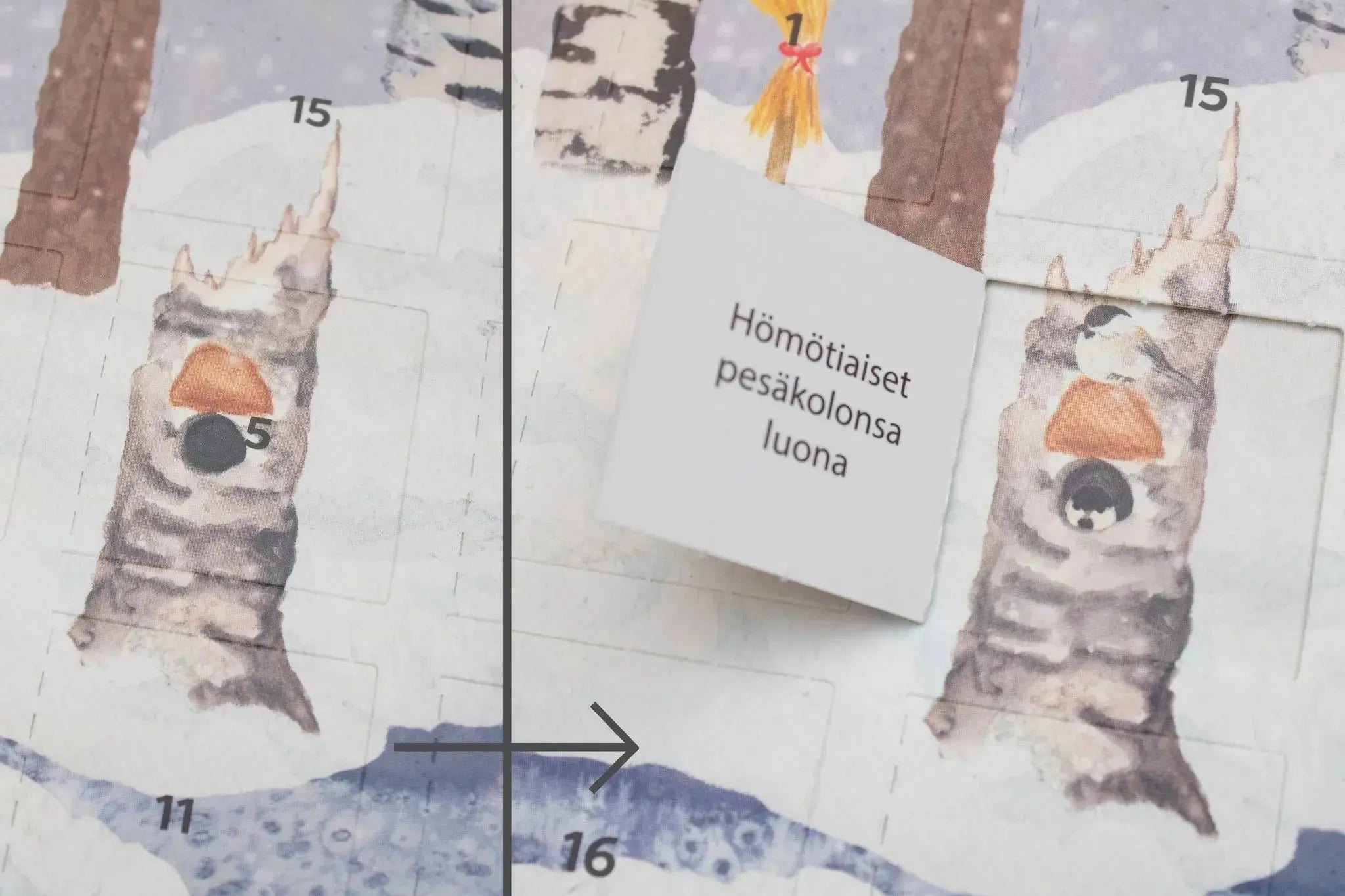 Joulukalenteri-Joulukalenterit-Suomen luonnonsuojeluliiton Luontokauppa