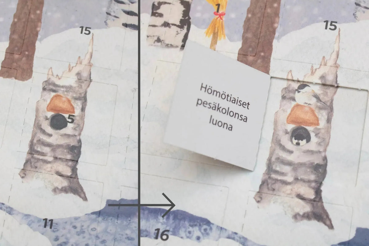 Joulukalenteri (talvimetsä)-Joulukalenterit-Suomen luonnonsuojeluliiton Luontokauppa