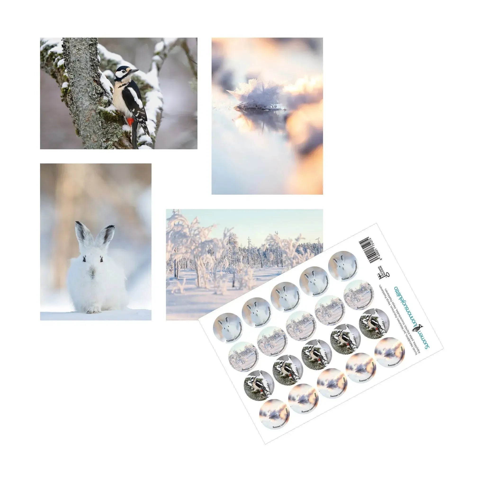 Joulukorttilajitelma, 20 korttia (2023)-Joulukortit-Suomen luonnonsuojeluliiton Luontokauppa