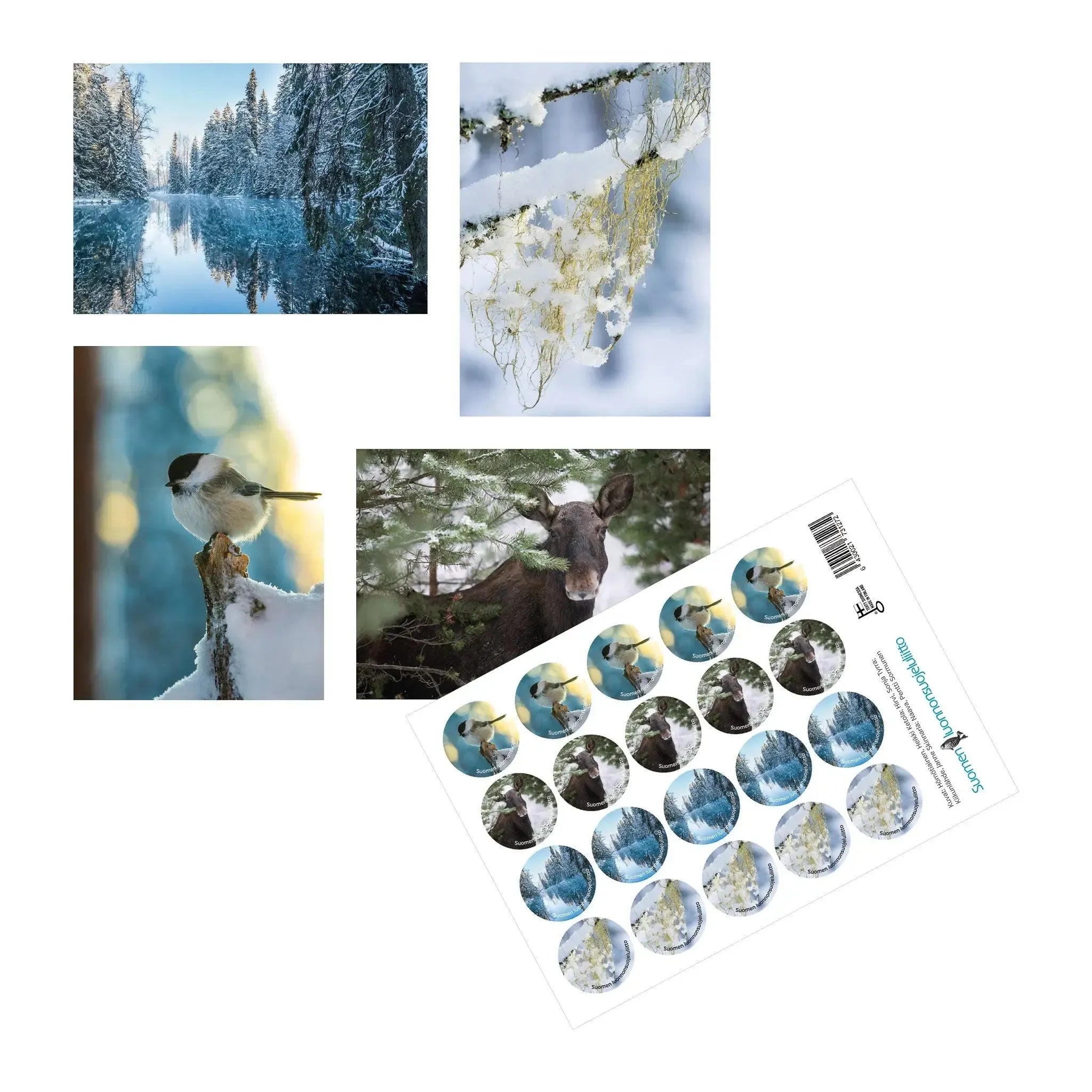 Joulukorttilajitelma, 20 korttia (2024)-Joulukortit-Suomen luonnonsuojeluliiton Luontokauppa