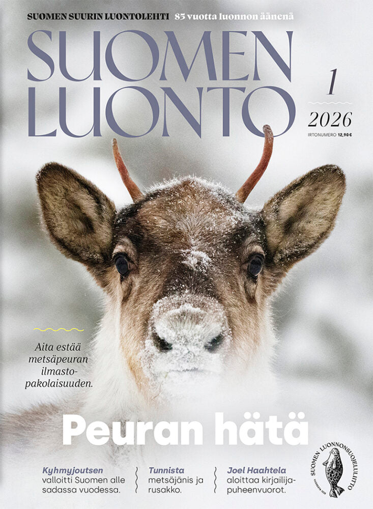 Suomen Luonto 1/2026