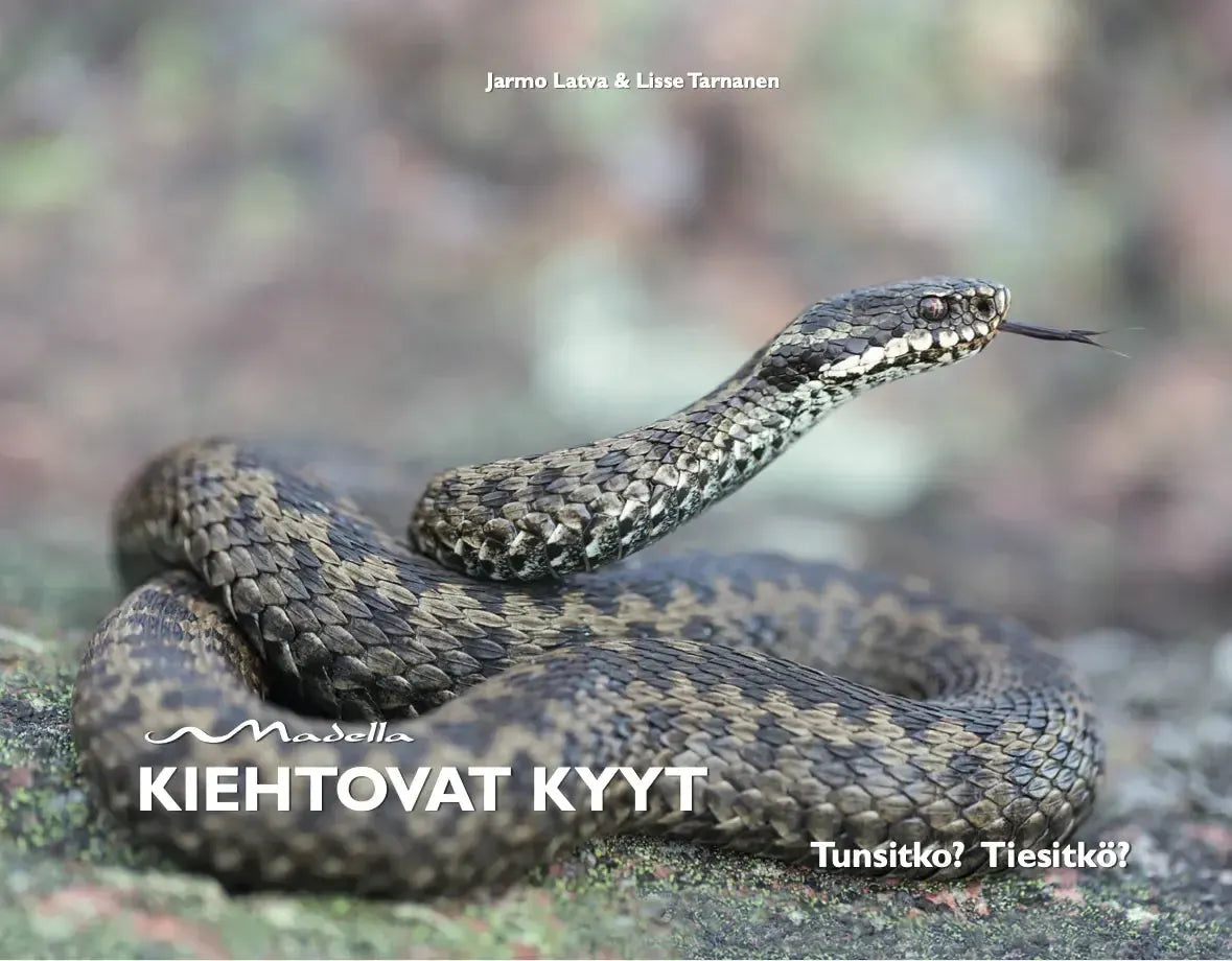 Kiehtovat kyyt-Matelija- ja sammakkoeläinaiheiset kirjat-Suomen luonnonsuojeluliiton Luontokauppa