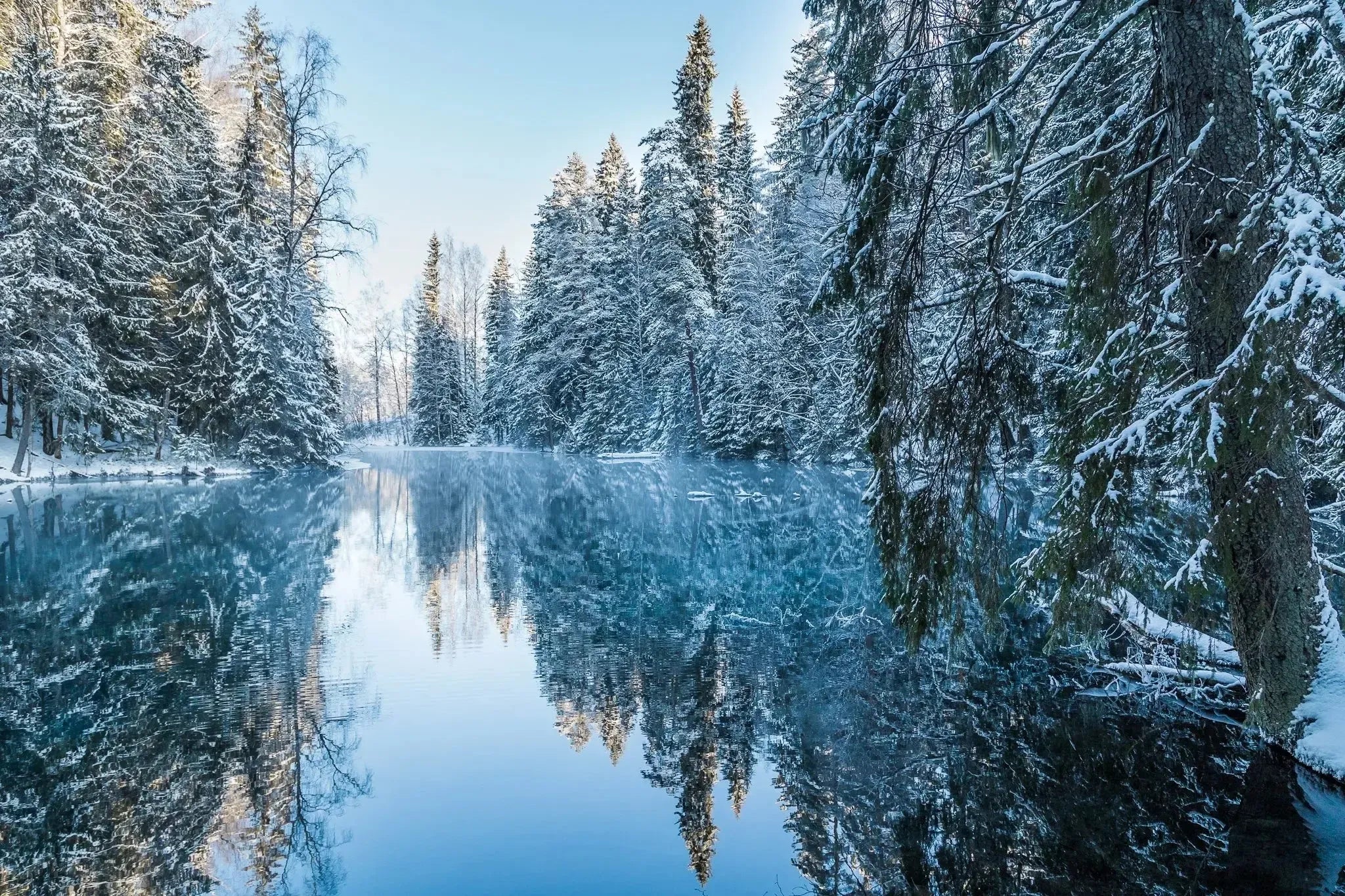 Kiikunlähde -joulukortti-Joulukortit-Suomen luonnonsuojeluliiton Luontokauppa