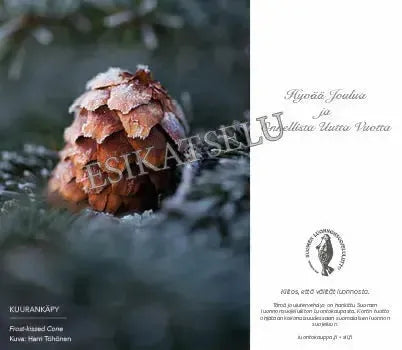 Kuurankäpy -sähköinen joulukortti-Joulukortit-Suomen luonnonsuojeluliiton Luontokauppa