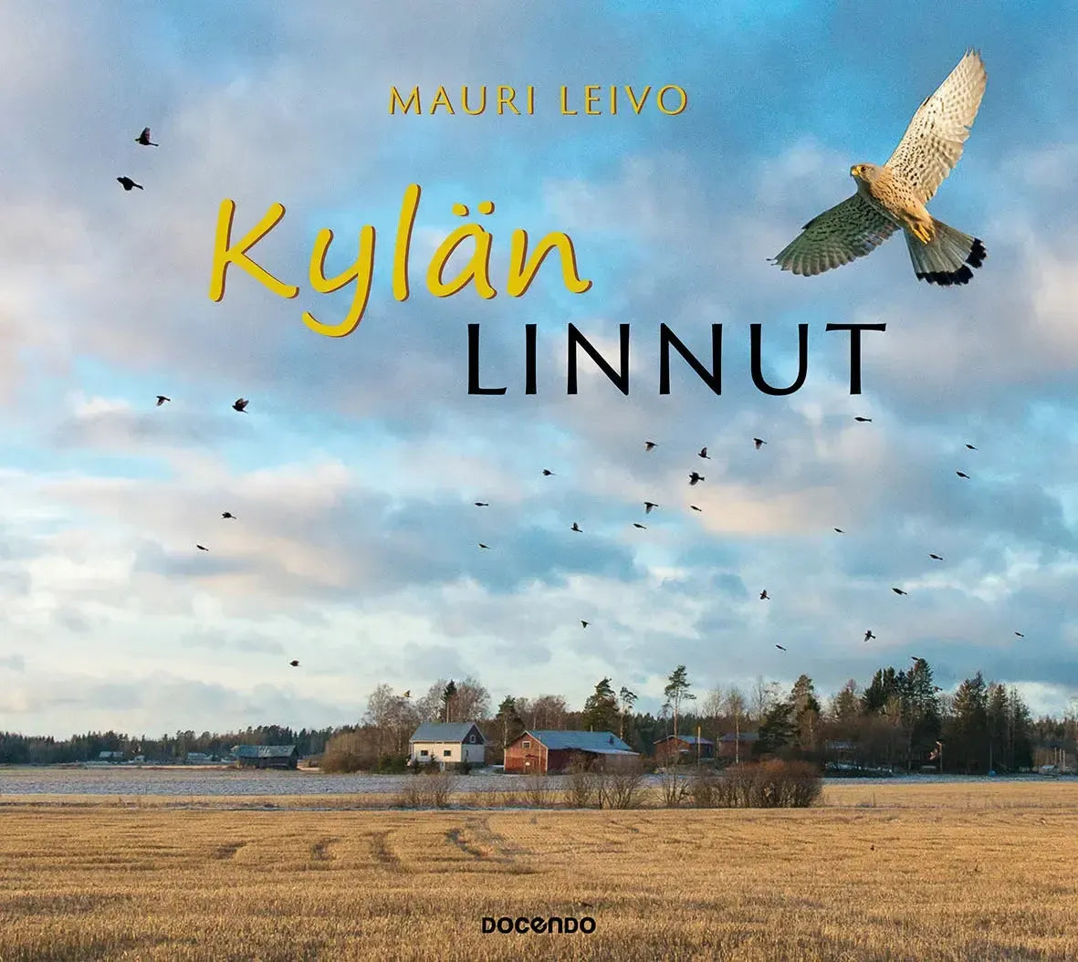 Kylän linnut-Lintuaiheiset kirjat-Suomen luonnonsuojeluliiton Luontokauppa