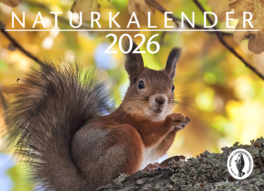 Luonnonkalenteri 2026