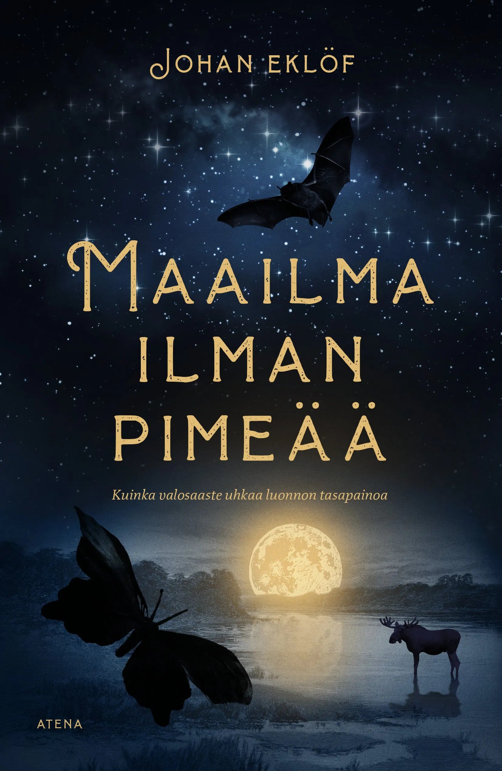 Maailma ilman pimeää