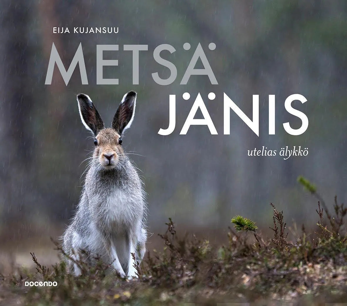 Metsäjänis – Utelias älykkö