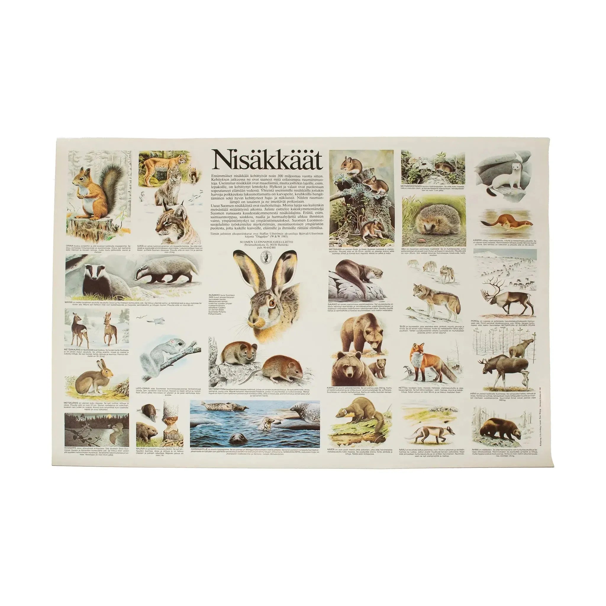 Nisäkkäät -juliste-Muut julisteet-Suomen luonnonsuojeluliiton Luontokauppa