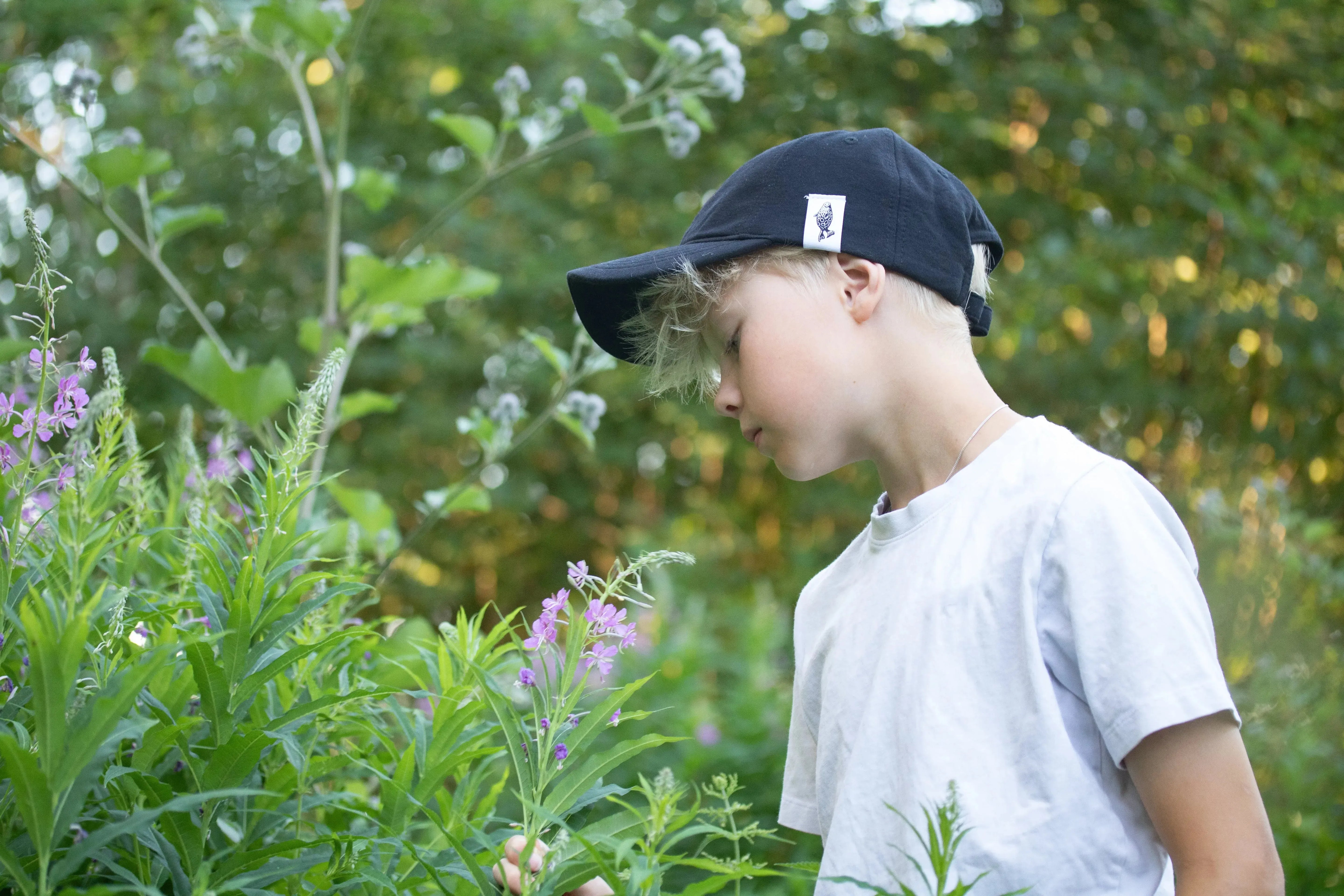 Norppa -lippalakki-Päähineet ja huivit-Suomen luonnonsuojeluliiton Luontokauppa