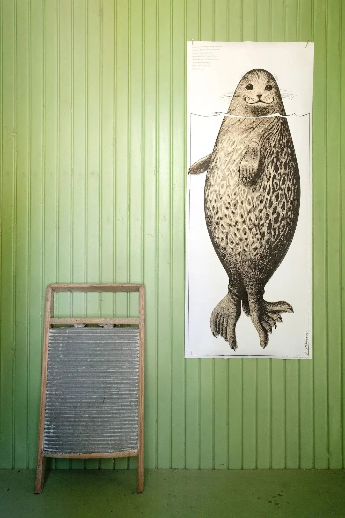 Norppajuliste-Erik Bruunin kuvittamat julisteet-Suomen luonnonsuojeluliiton Luontokauppa