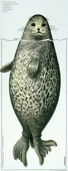 Norppajuliste-Erik Bruunin kuvittamat julisteet-Suomen luonnonsuojeluliiton Luontokauppa