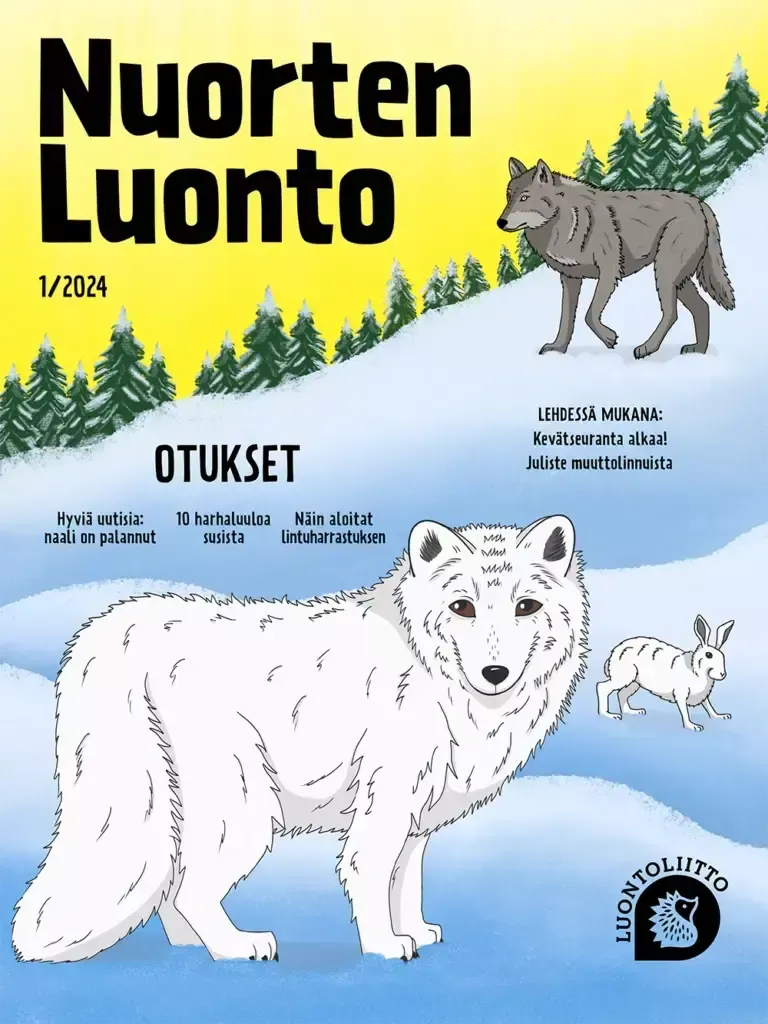 Nuorten Luonto 1/2024-Nuorten Luonto -lehti-Suomen luonnonsuojeluliiton Luontokauppa