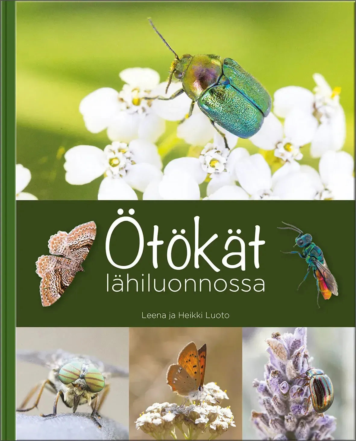 Ötökät lähiluonnossa-Hyönteisaiheiset kirjat-Suomen luonnonsuojeluliiton Luontokauppa