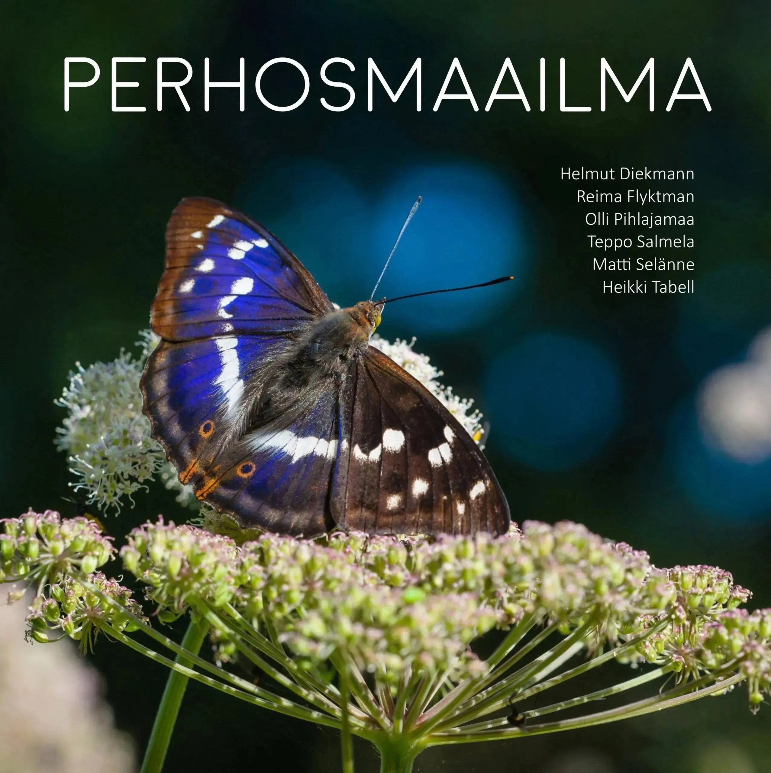 Perhosmaailma-Hyönteisaiheiset kirjat-Suomen luonnonsuojeluliiton Luontokauppa