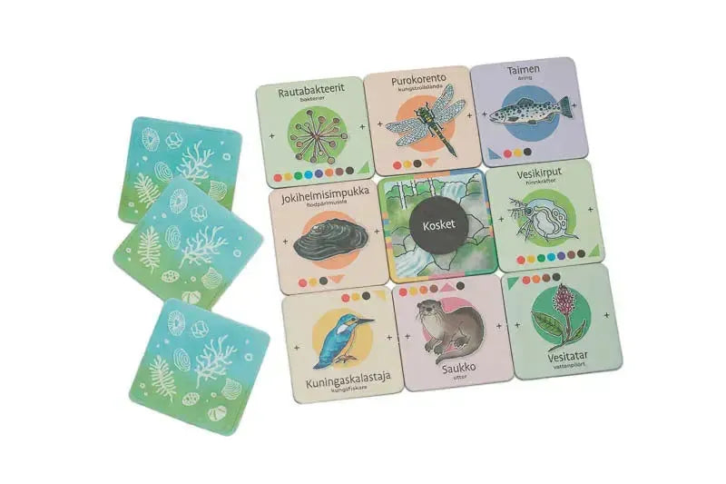Pinnan alla -muisti- ja tietopeli-Muisti- ja tietopelit-Suomen luonnonsuojeluliiton Luontokauppa