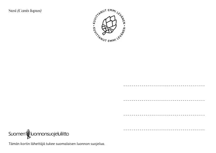 Pohjolan eläimet: Susi-Pohjolan eläimet -korttisarja-Suomen luonnonsuojeluliiton Luontokauppa