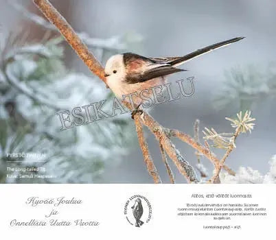 Pyrstötiainen -sähköinen joulukortti-Joulukortit-Suomen luonnonsuojeluliiton Luontokauppa