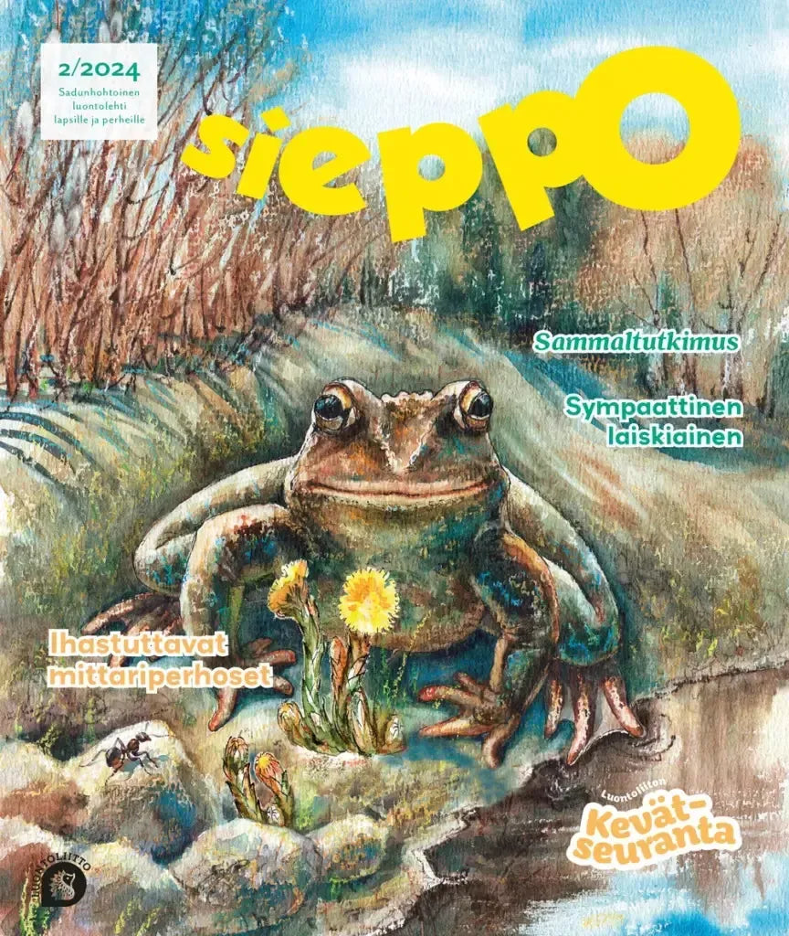 Sieppo 2/2024-Sieppo -lehti-Suomen luonnonsuojeluliiton Luontokauppa