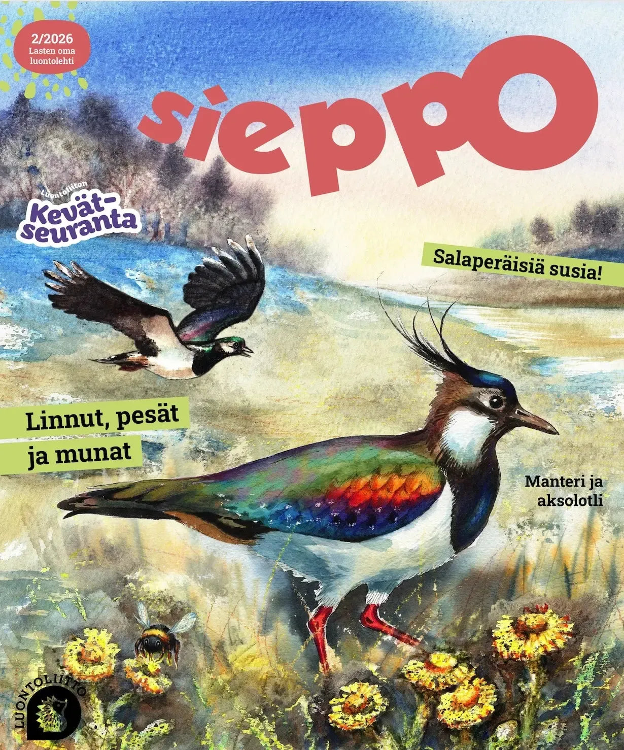 Sieppo 2/2026-Sieppo -lehti-Suomen luonnonsuojeluliiton Luontokauppa