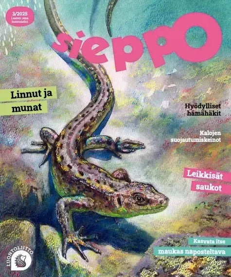 Sieppo 3/2025-Sieppo -lehti-Suomen luonnonsuojeluliiton Luontokauppa