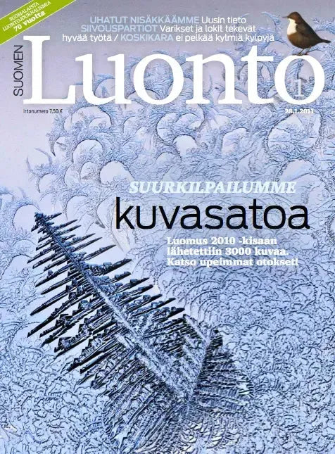 Suomen Luonto 1/2011-Suomen Luonto -lehti-Suomen luonnonsuojeluliiton Luontokauppa