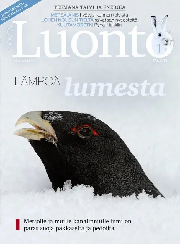 Suomen Luonto 1/2014-Suomen Luonto -lehti-Suomen luonnonsuojeluliiton Luontokauppa