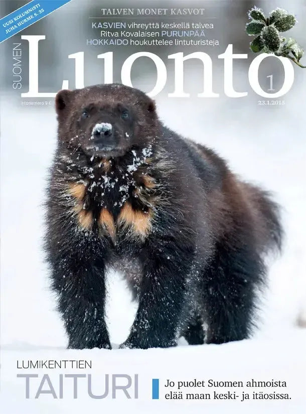 Suomen Luonto 1/2015-Suomen Luonto -lehti-Suomen luonnonsuojeluliiton Luontokauppa