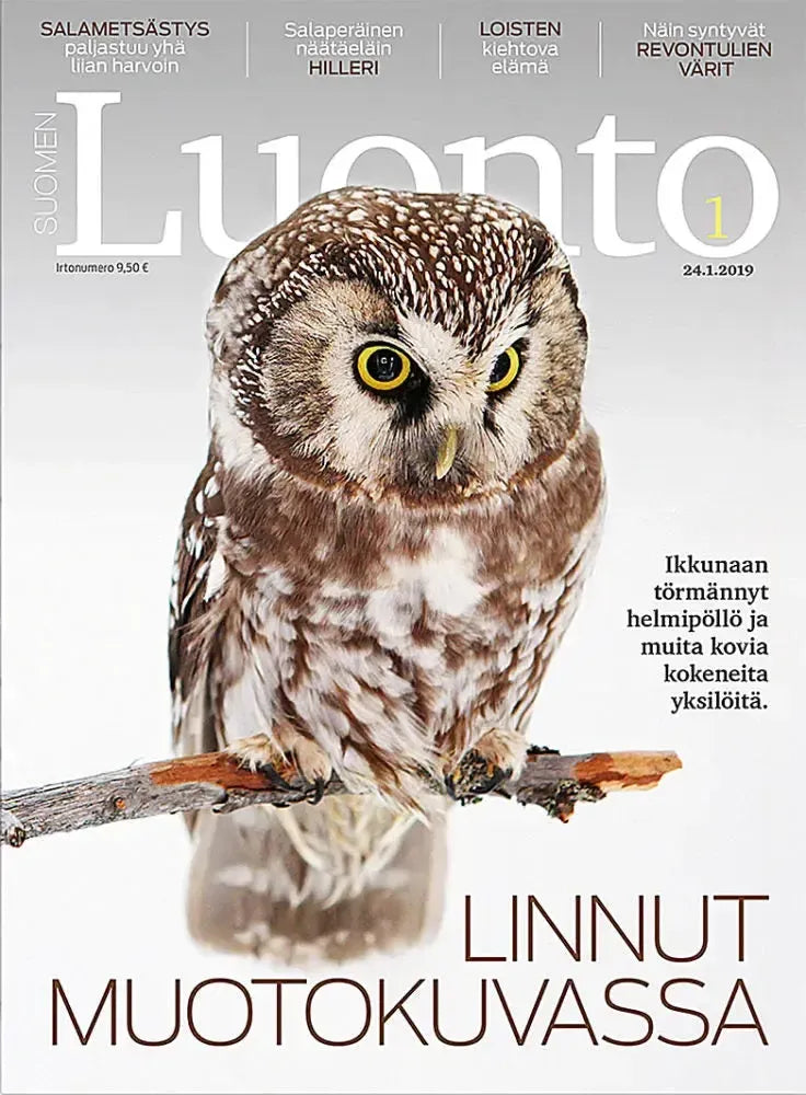 Suomen Luonto 1/2019-Suomen Luonto -lehti-Suomen luonnonsuojeluliiton Luontokauppa