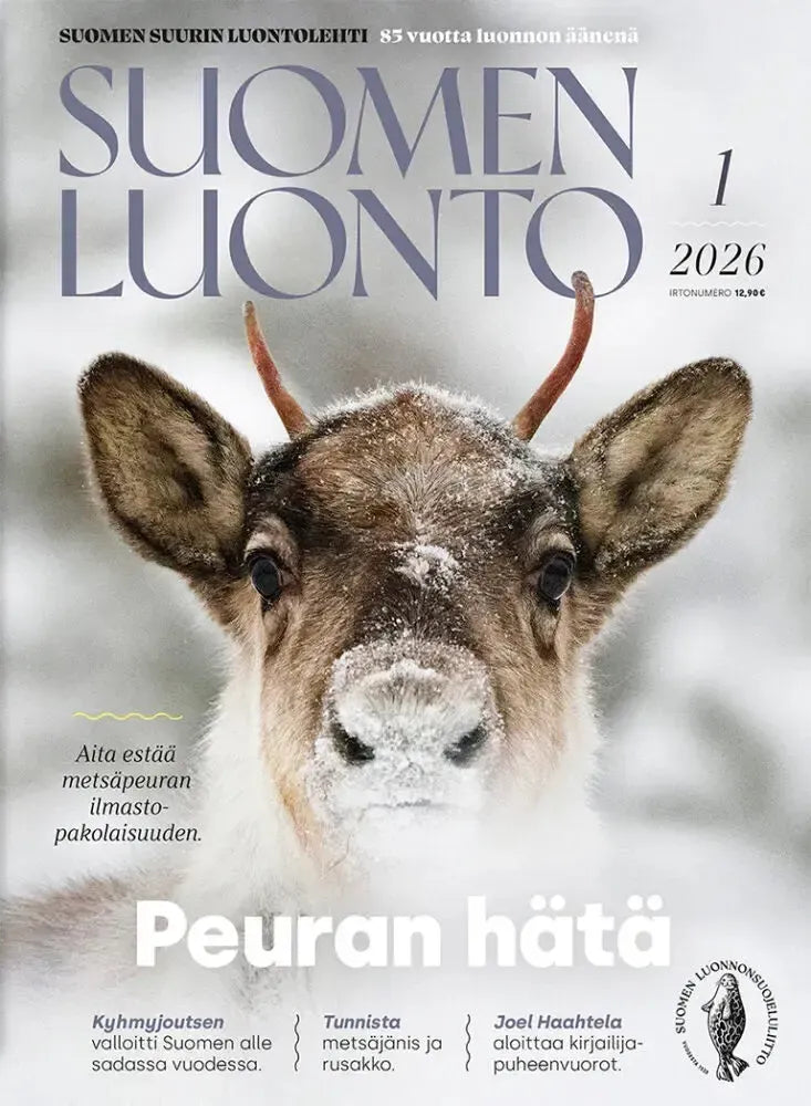 Suomen Luonto 1/2026-Suomen Luonto -lehti-Suomen luonnonsuojeluliiton Luontokauppa