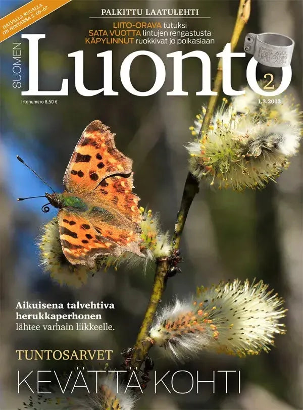 Suomen Luonto 2/2013-Suomen Luonto -lehti-Suomen luonnonsuojeluliiton Luontokauppa