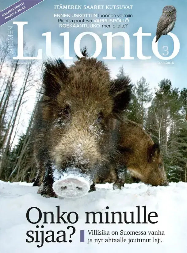 Suomen Luonto 3/2015-Suomen Luonto -lehti-Suomen luonnonsuojeluliiton Luontokauppa