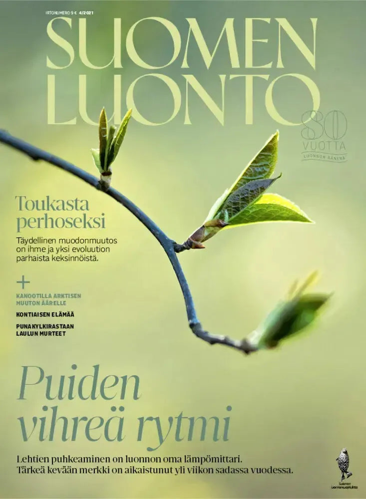 Suomen Luonto 4/2021-Suomen Luonto -lehti-Suomen luonnonsuojeluliiton Luontokauppa