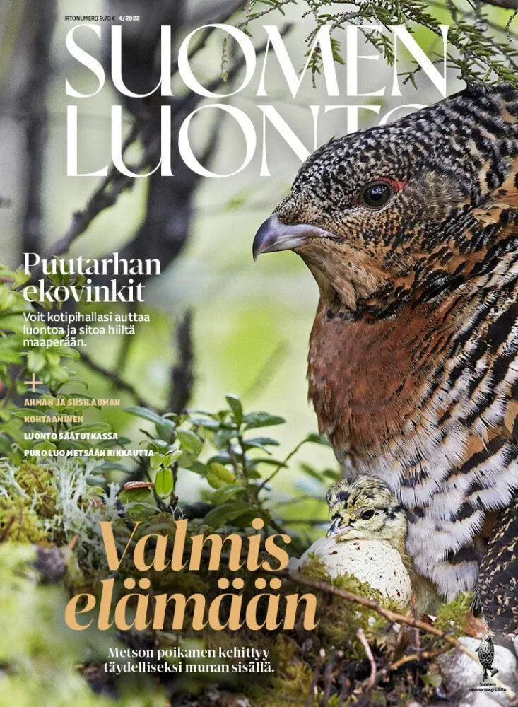 Suomen Luonto 4/2022