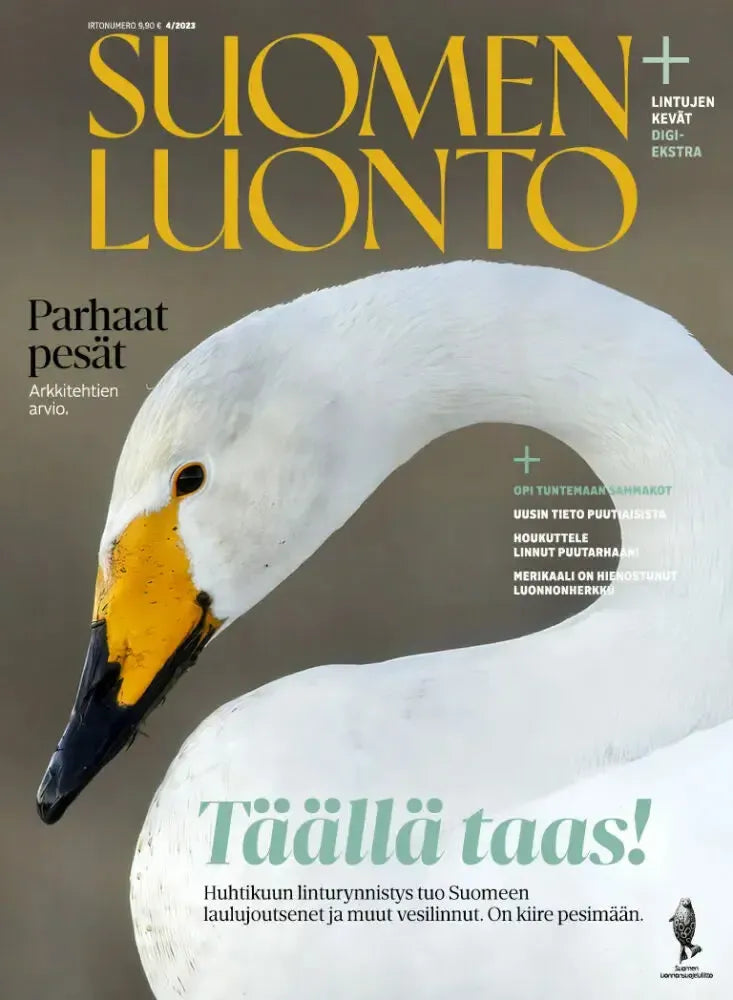 Suomen Luonto 4/2023-Suomen Luonto -lehti-Suomen luonnonsuojeluliiton Luontokauppa