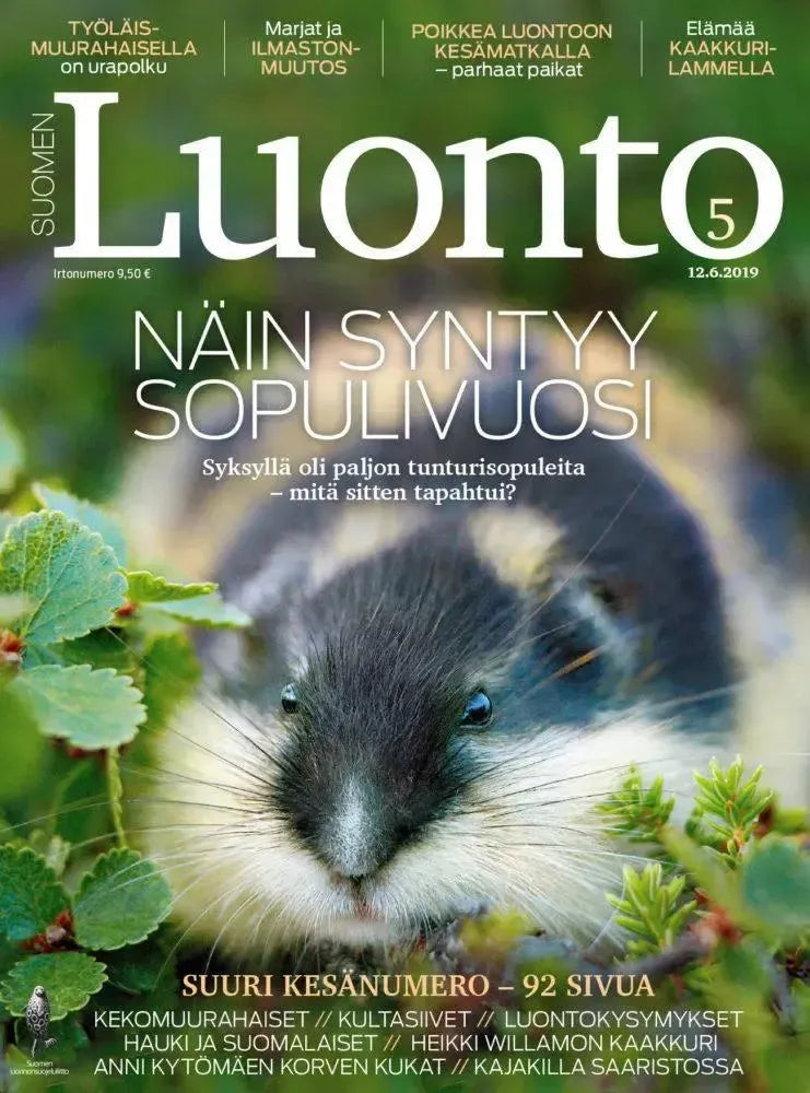 Suomen Luonto 5/2019-Suomen Luonto -lehti-Suomen luonnonsuojeluliiton Luontokauppa