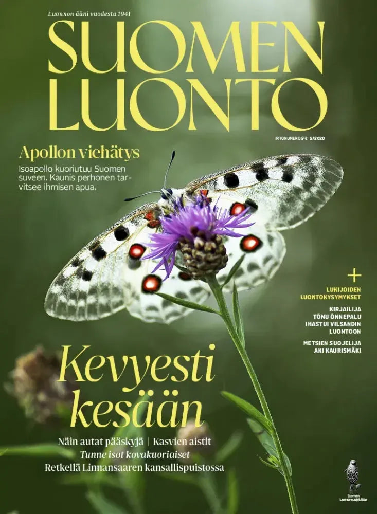 Suomen Luonto 5/2020-Suomen Luonto -lehti-Suomen luonnonsuojeluliiton Luontokauppa