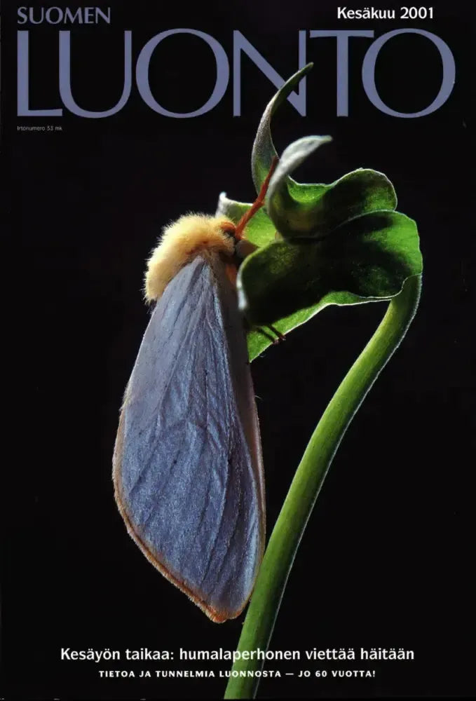 Suomen Luonto 6/2001-Suomen Luonto -lehti-Suomen luonnonsuojeluliiton Luontokauppa