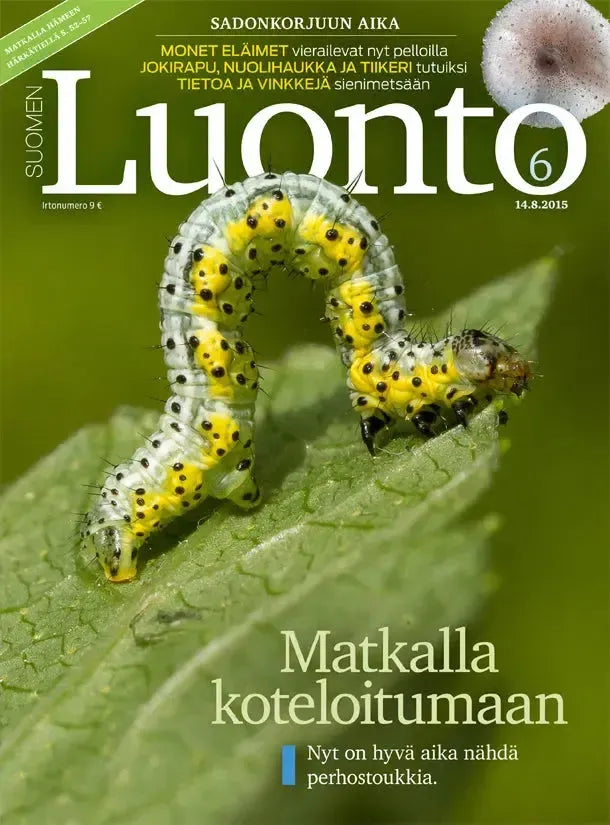 Suomen Luonto 6/2015-Suomen Luonto -lehti-Suomen luonnonsuojeluliiton Luontokauppa