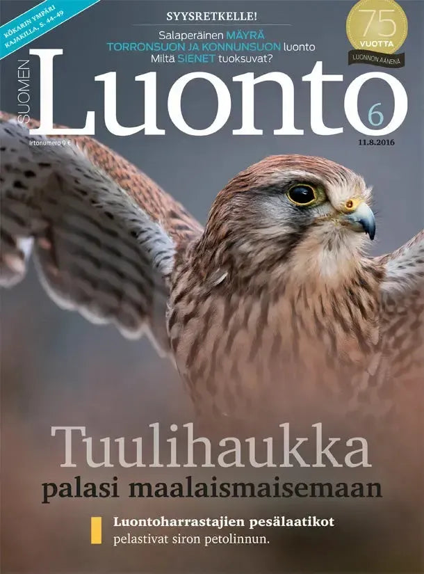 Suomen Luonto 6/2016-Suomen Luonto -lehti-Suomen luonnonsuojeluliiton Luontokauppa