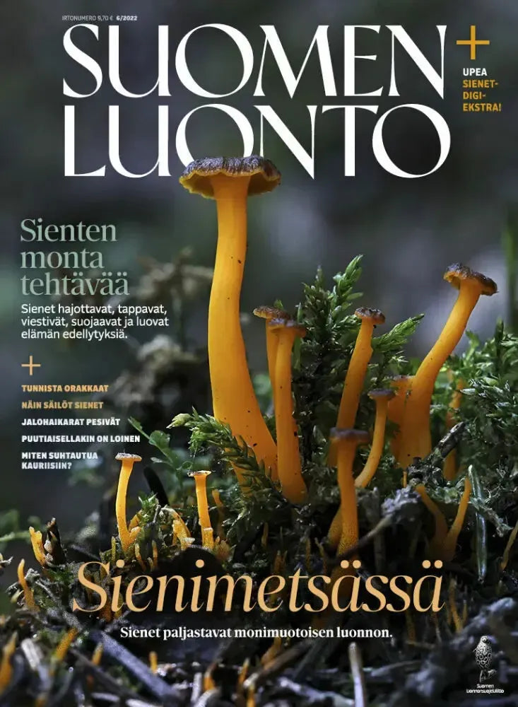 Suomen Luonto 6/2022-Suomen Luonto -lehti-Suomen luonnonsuojeluliiton Luontokauppa