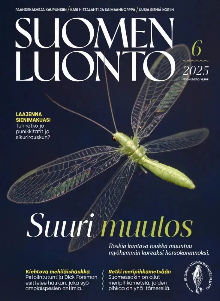 Suomen Luonto 6/2025-Suomen Luonto -lehti-Suomen luonnonsuojeluliiton Luontokauppa