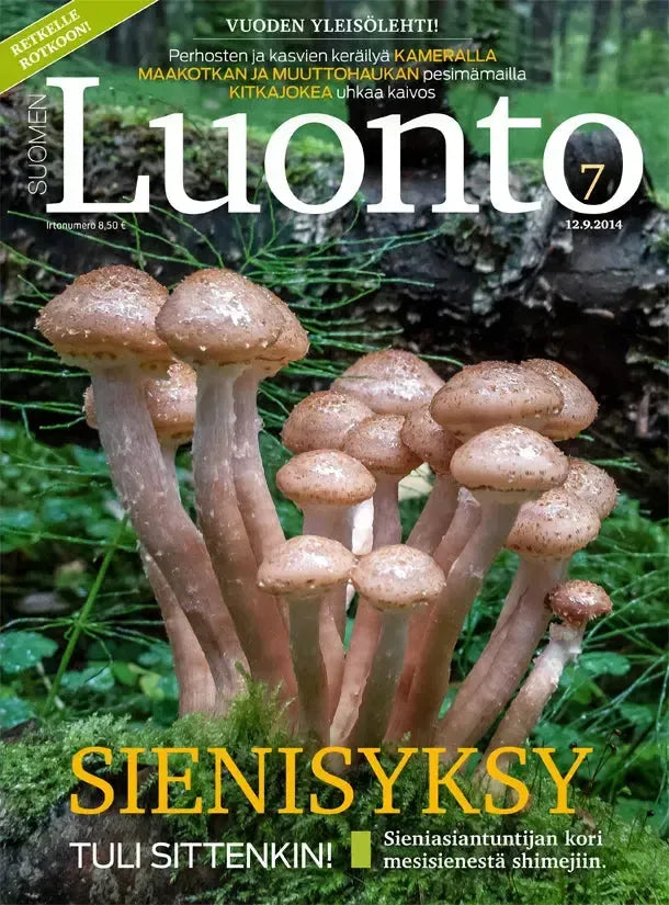 Suomen Luonto 7/2014-Suomen Luonto -lehti-Suomen luonnonsuojeluliiton Luontokauppa