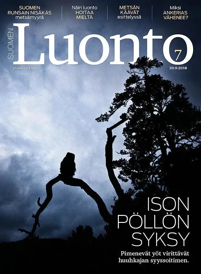 Suomen Luonto 7/2018-Suomen Luonto -lehti-Suomen luonnonsuojeluliiton Luontokauppa