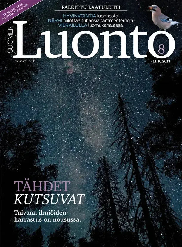 Suomen Luonto 8/2013-Suomen Luonto -lehti-Suomen luonnonsuojeluliiton Luontokauppa